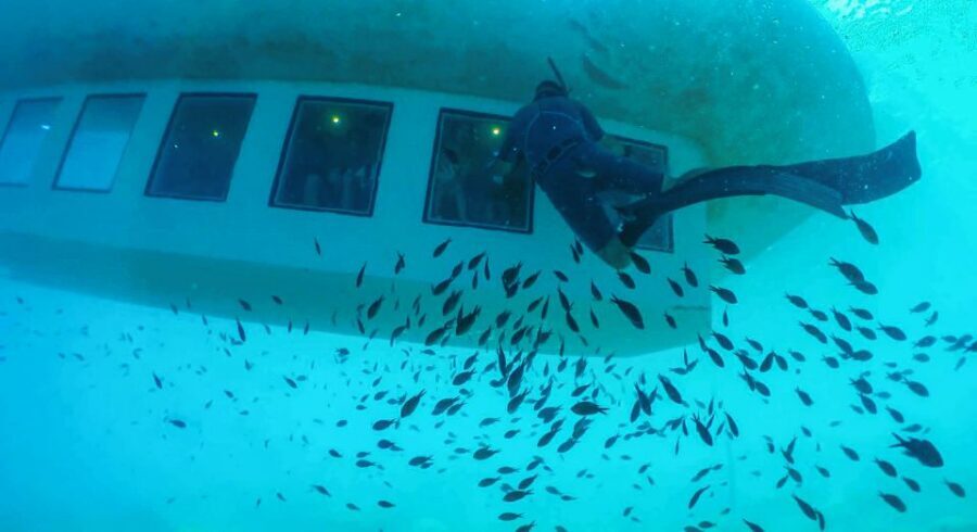 Rhodes Town: Submarine Cruise with Underwater Views - Who This Submarine Cruise Is Best For