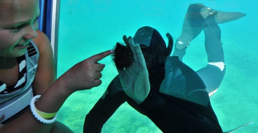 Rhodes Town: Yellow Submarine Cruise with Underwater Views - Key Things That Make This Cruise Worth Your Hour