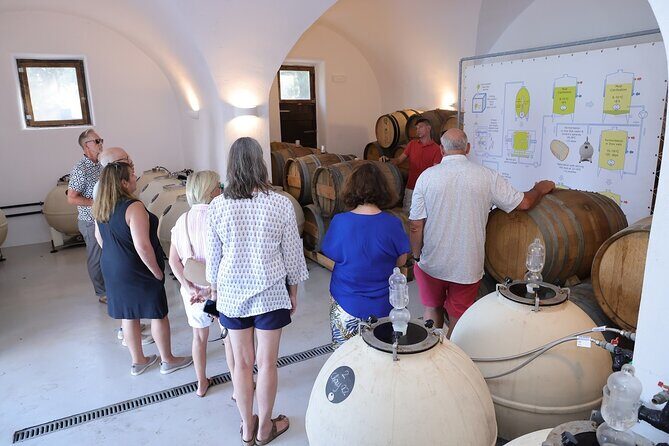 Santorini Wine Stories: Sunset Tour with Tasting & Dinner - Who Should Book This Santorini Wine Stories Tour