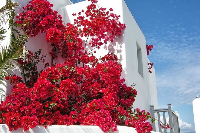 Sightseeing like a Mykonian(Small Group or Private) - Kalafatis beach time: swim, reset, and snack