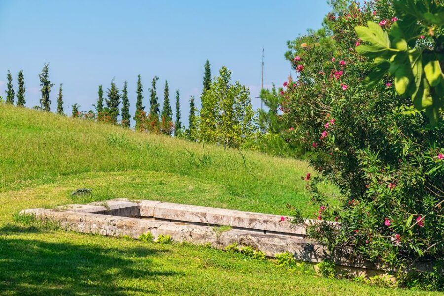 Thessaloniki: Vergina and Pella Day Trip - Guide impact: why the same route can feel totally different